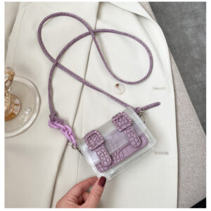 Bolso mini Transparencia